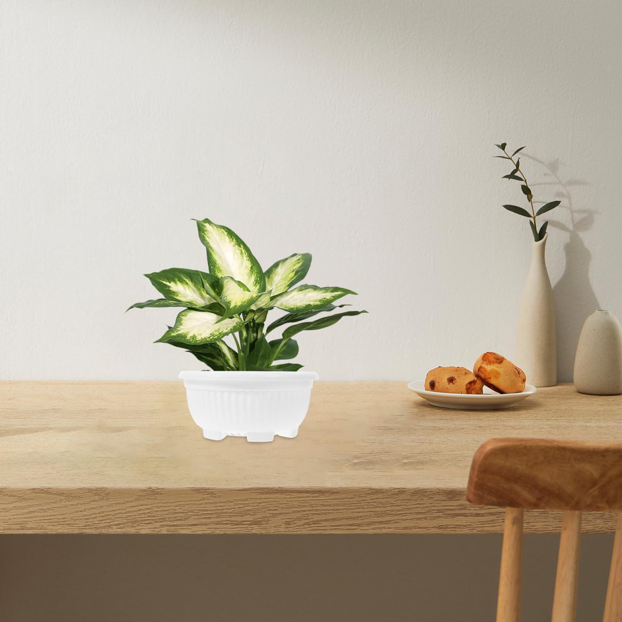 HANABASS Large Garden Bowl Planter White Shallow Plant Pot with Drainage Plastic Flowerpot for Succulents Bonsai Herbs Indoor Outdoor 8.25 Inchs