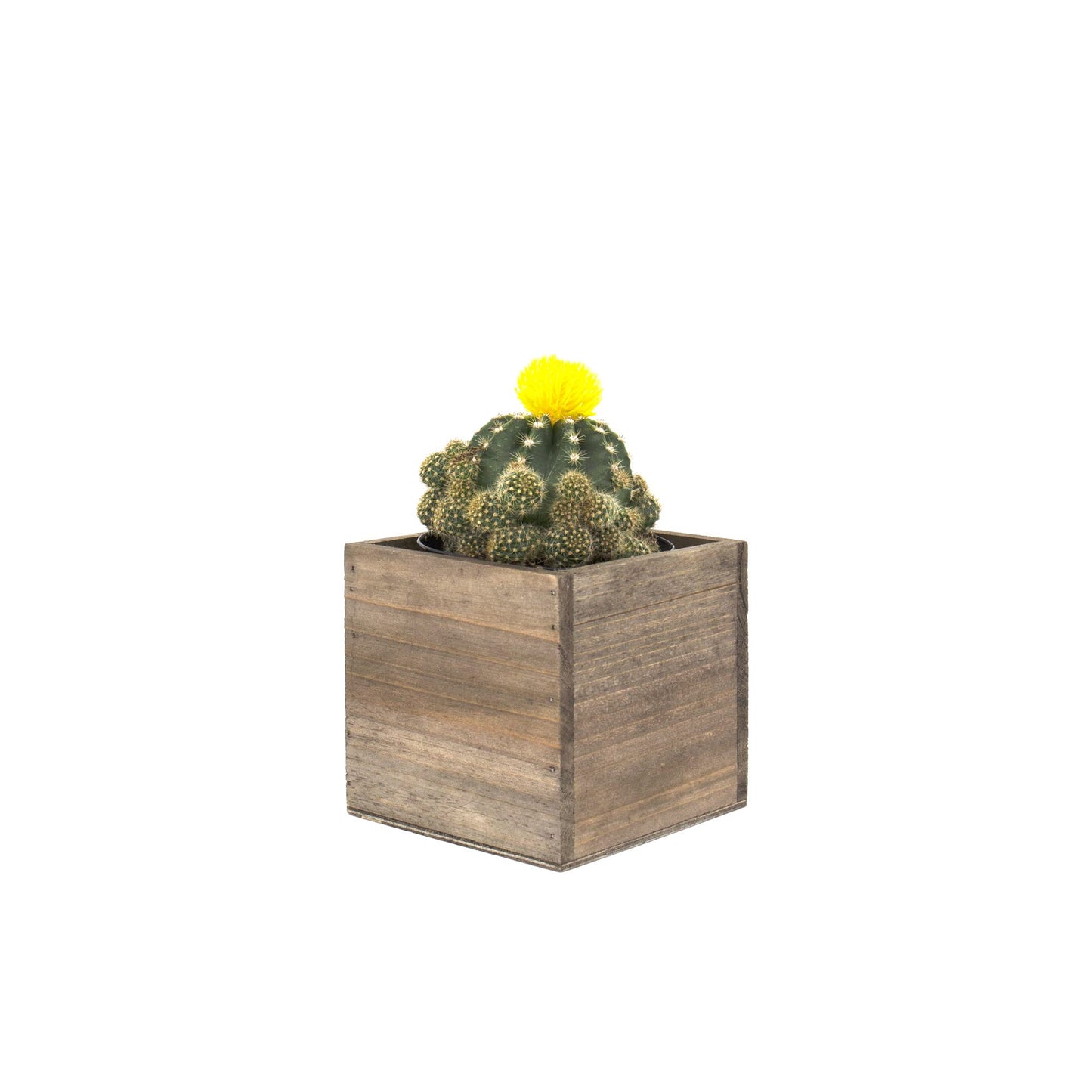 CYS EXCEL Cube Planter Box with Removable Plastic Liner (4"x4"x4")(4 PCS) | Multiple Size Choices Wood Square Planter | Indoor Decorative Window Box
