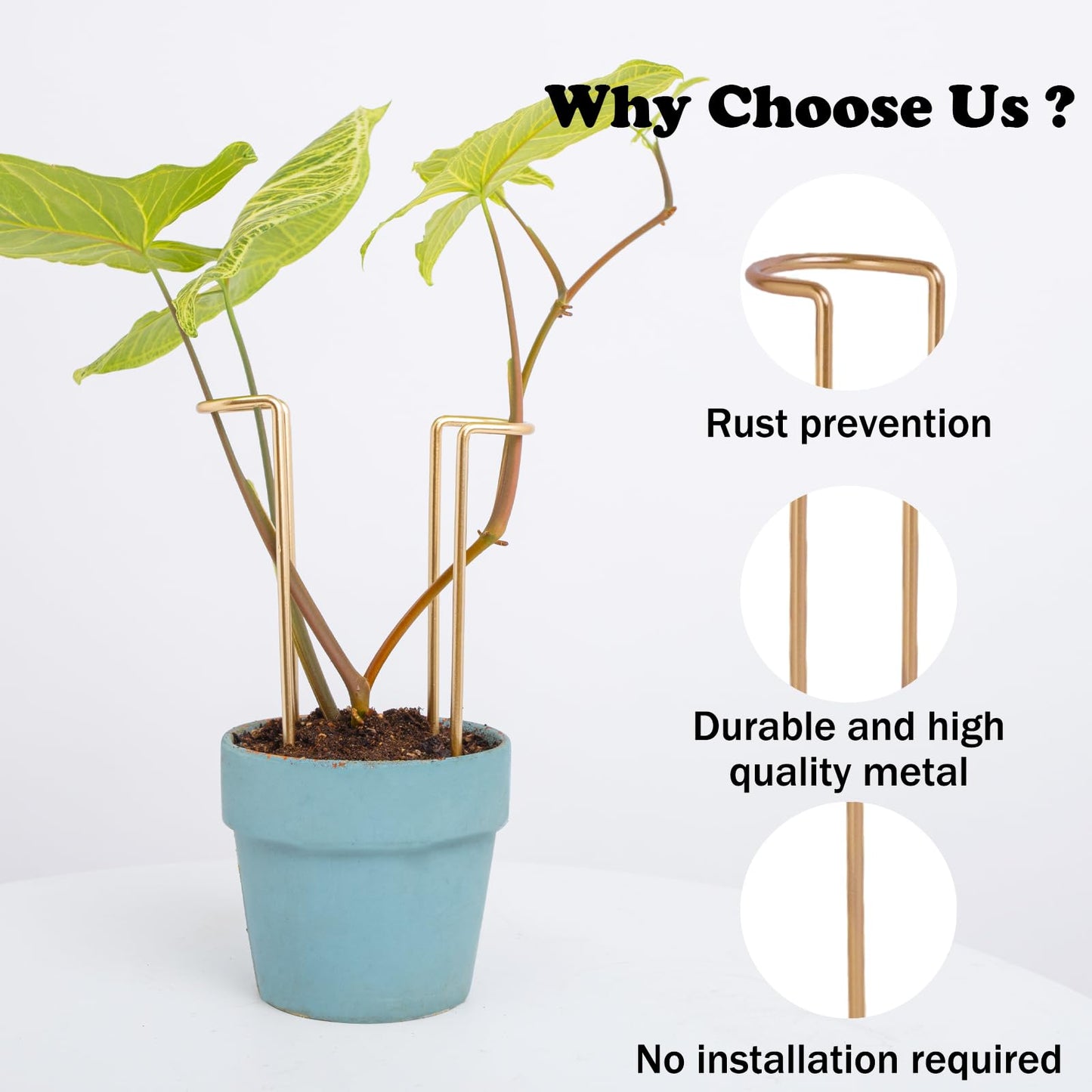 GOOOXIM 8.7 Inch Indoor Plant Trellis -10 Pack Small Gold Plant Supports for Outdoor Plants, Monstera Trellis Stakes & Stem Holders, Durable Iron Garden Flower Support for Young Plant Growth