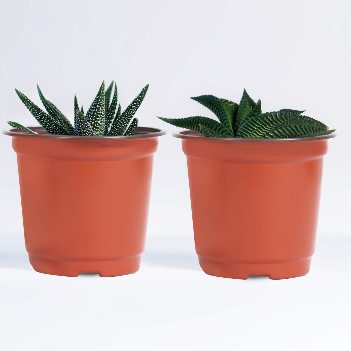 KINJOEK 160 Packs 6 Inch 1/2 Gallon Plant Nursery Pots, Plastic Nursery Flower Plant Pots Container Seed Starting Planter Nursery Pots for Seedlings Transplants Indoor Outdoor, Garden Yard