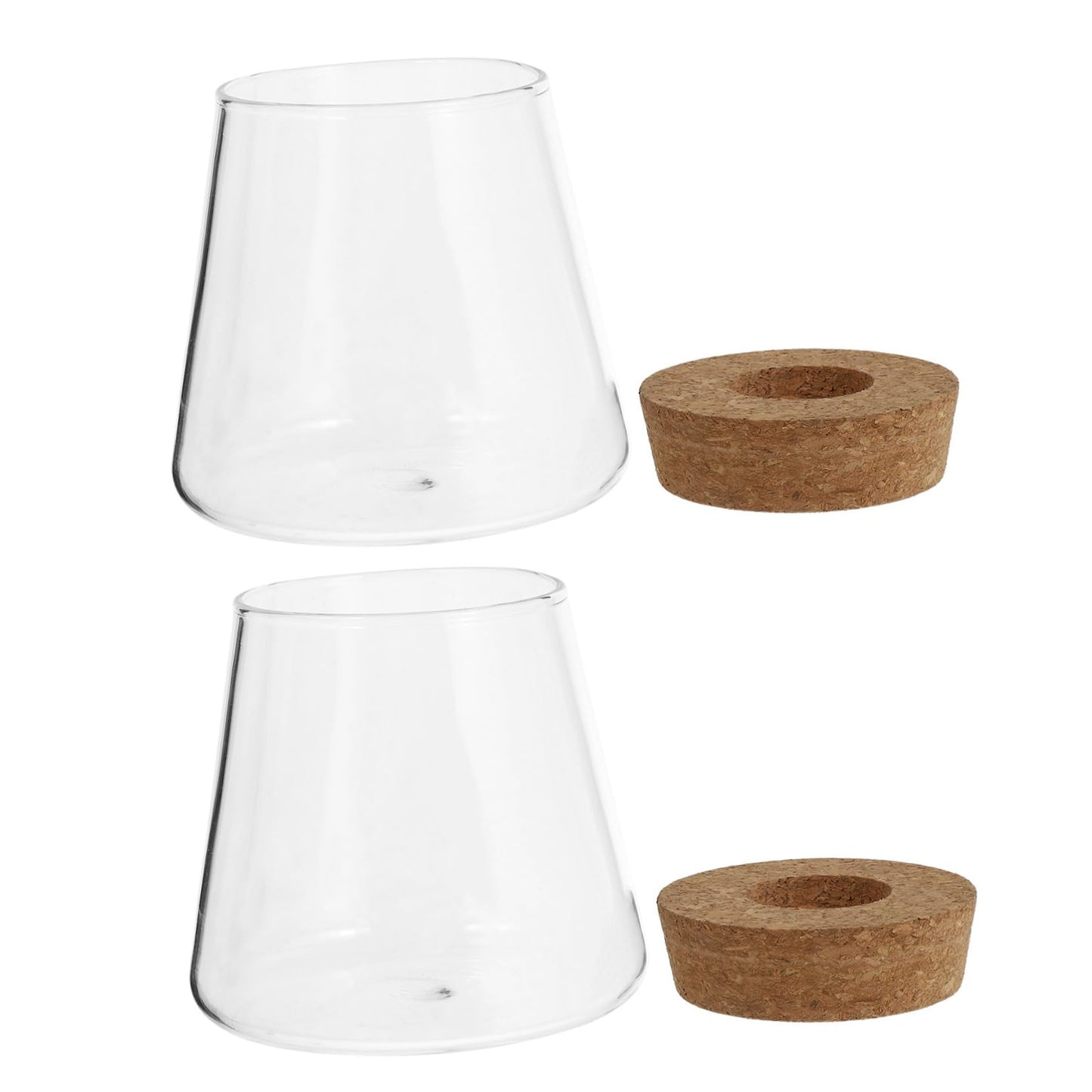 ETHZZLE 2Pcs Desktop Hydroponics Glass Planter Vase for Indoor Plants Chic Terrarium Containers for Home Office Decoration Floral Arrangement and Gift Ideas