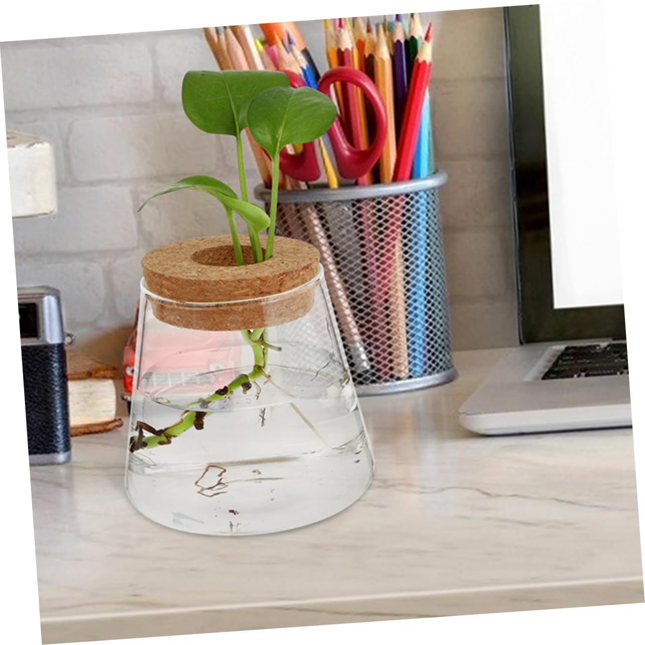 3pcs Hydroponic Glass Plant Vase with Wood Lid Compact Desktop Propagation Station for Plants Clear Terrarium Bottle for Flower Lovers Enhances Indoor Atmosphere