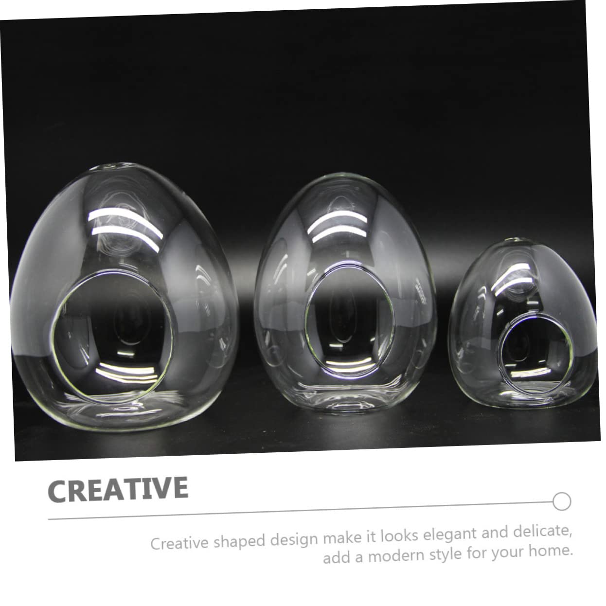 BESPORTBLE Glass Bottle Plant Moss Terrarium DIY Micro-Landscape Desktop Succulent Vase Home Decor