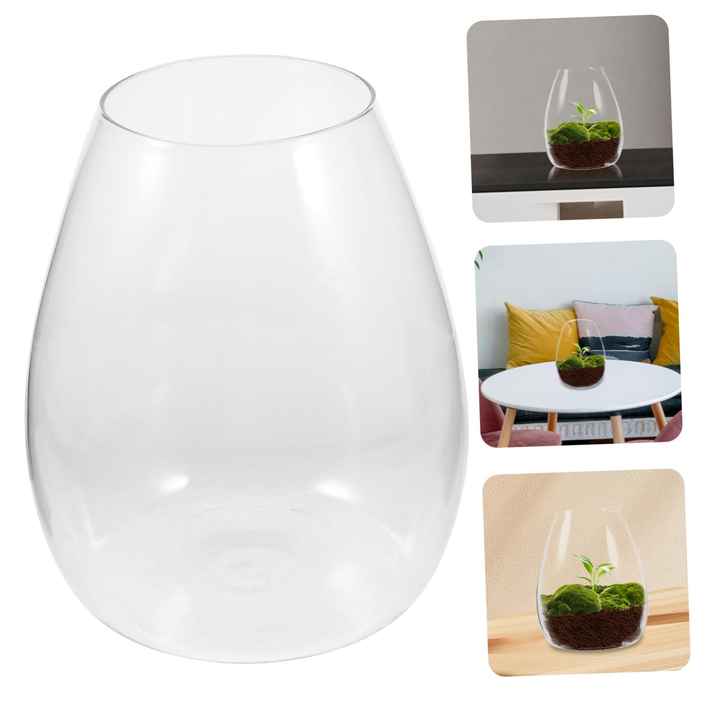 SOLUSTRE Glass Planter Bottle Micro Landscape DIY Bottle Plant Holder for Terrarium Propagation Vase Plant Terrarium