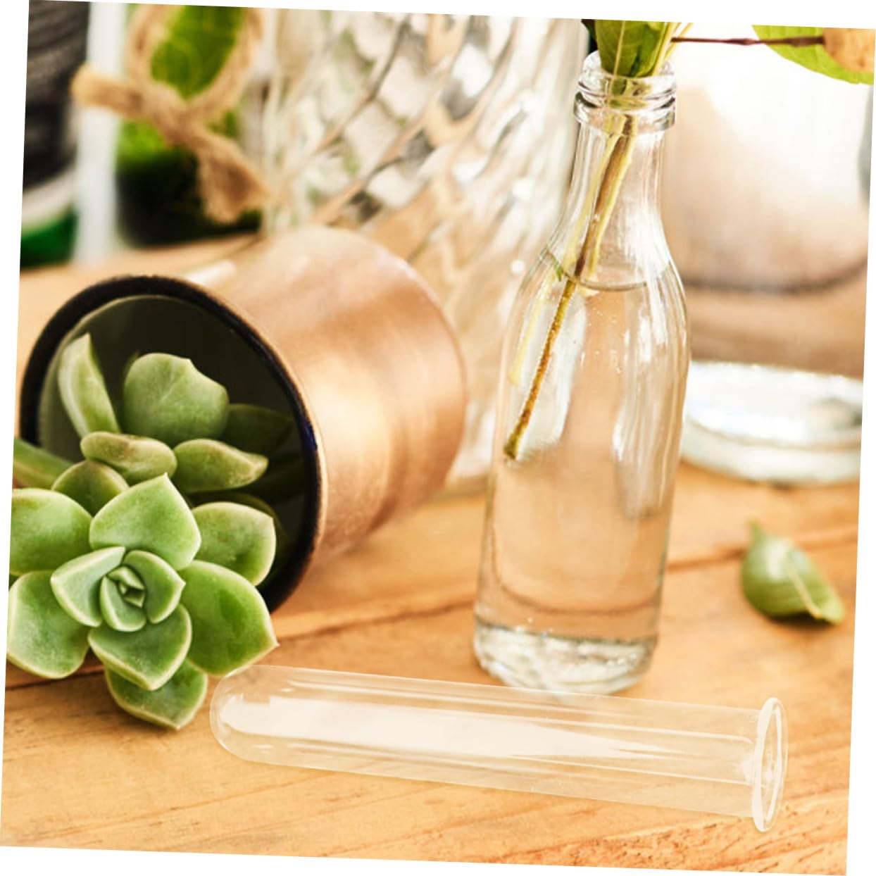 Abaodam 5Pcs Hydroponics Test Tube Vase Transparent Glass Propagation Vases for Indoor Plants Stylish Home Decor for Flower Arrangements and Terrarium Display
