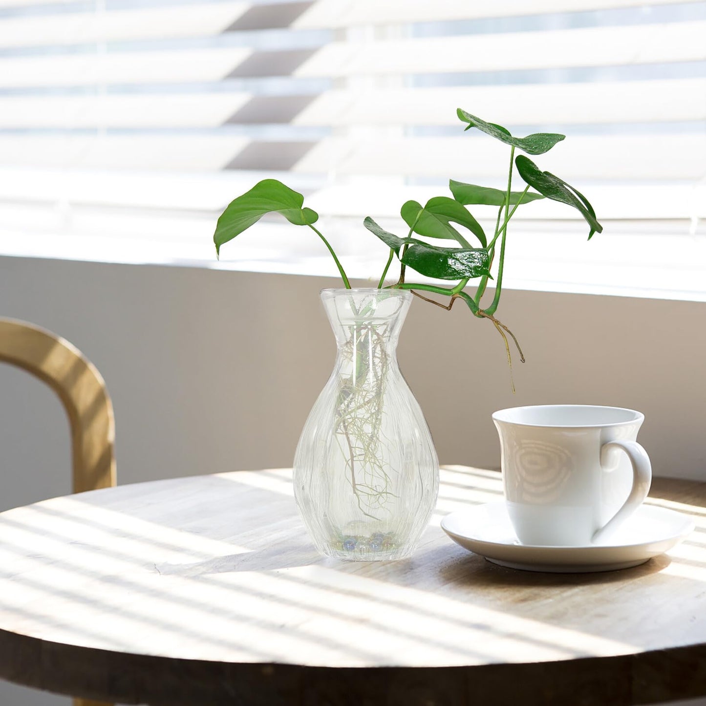 QUMIIRITY 4pcs Glass Hydroponic Vases Terrarium Flower Vase Set for Home Decor Table Centerpiece Glass Containers for Indoor Green Plants