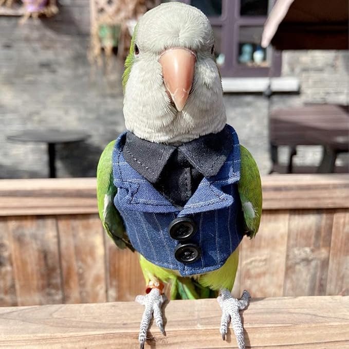 Bird Clothes Birds Flight Suit,Tuxedo Business Suit for Parrots African Greys Parakeet Cockatiel Sun Conure Christmas Party Birthday Cosplay Photo Prop Small Animals Apparel (M,Denim Suit)