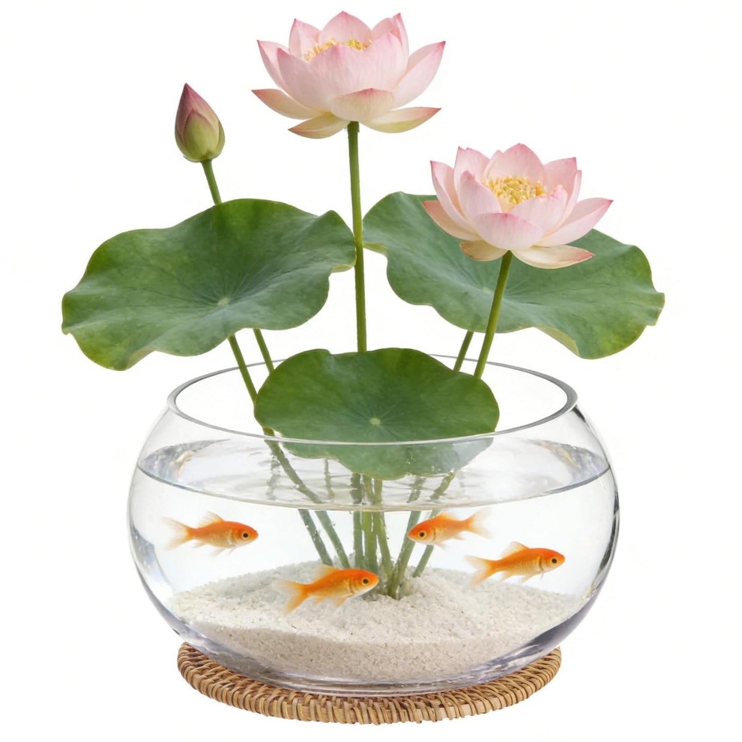 Lotus Bowl Planter with Rattan Mat - 10 in Round Glass Vase Bowl Hydroponic Lotus Planter Pot Propagation Vases Fish Bowl for Water Greens, Transparent Decorative Lotus Pot, Fish Tank