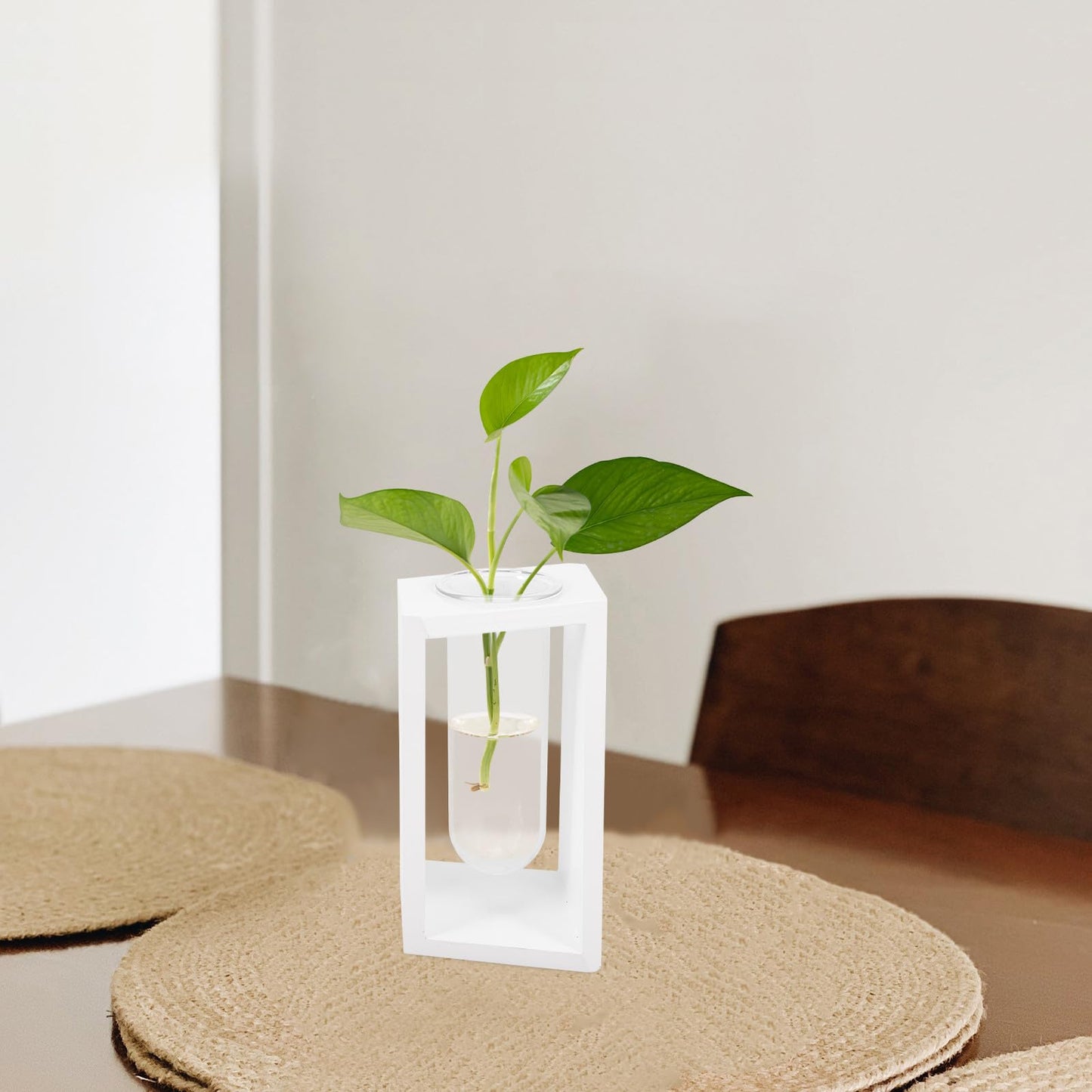 Healifty Glass Test Tube Vase with White Wooden Rack, Hydroponic Plant Propagation Station for Home Décor, Succulent Terrarium Planter for Desk and Tabletop Display