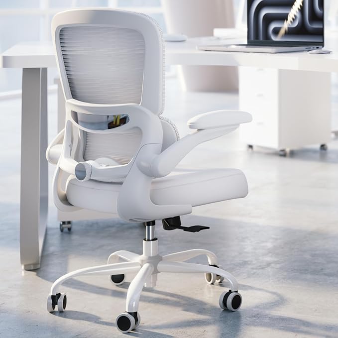 Office Chair - Ergonomic Desk Chair