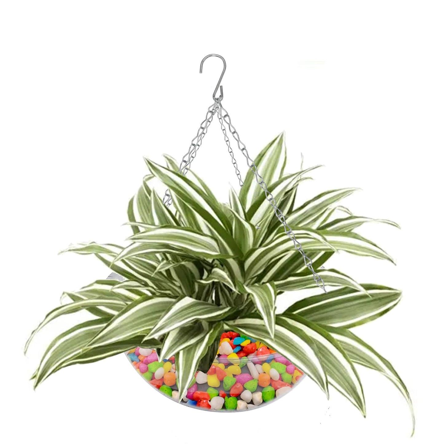 SnowTing 2 Pack Clear Hanging Planter Basket with Hook Chain, 11.8 Inch Air Hydroponics Plants Hanger for Indoor Use, Flower Pots Hanger for Home Garden Porch Entrance Décor
