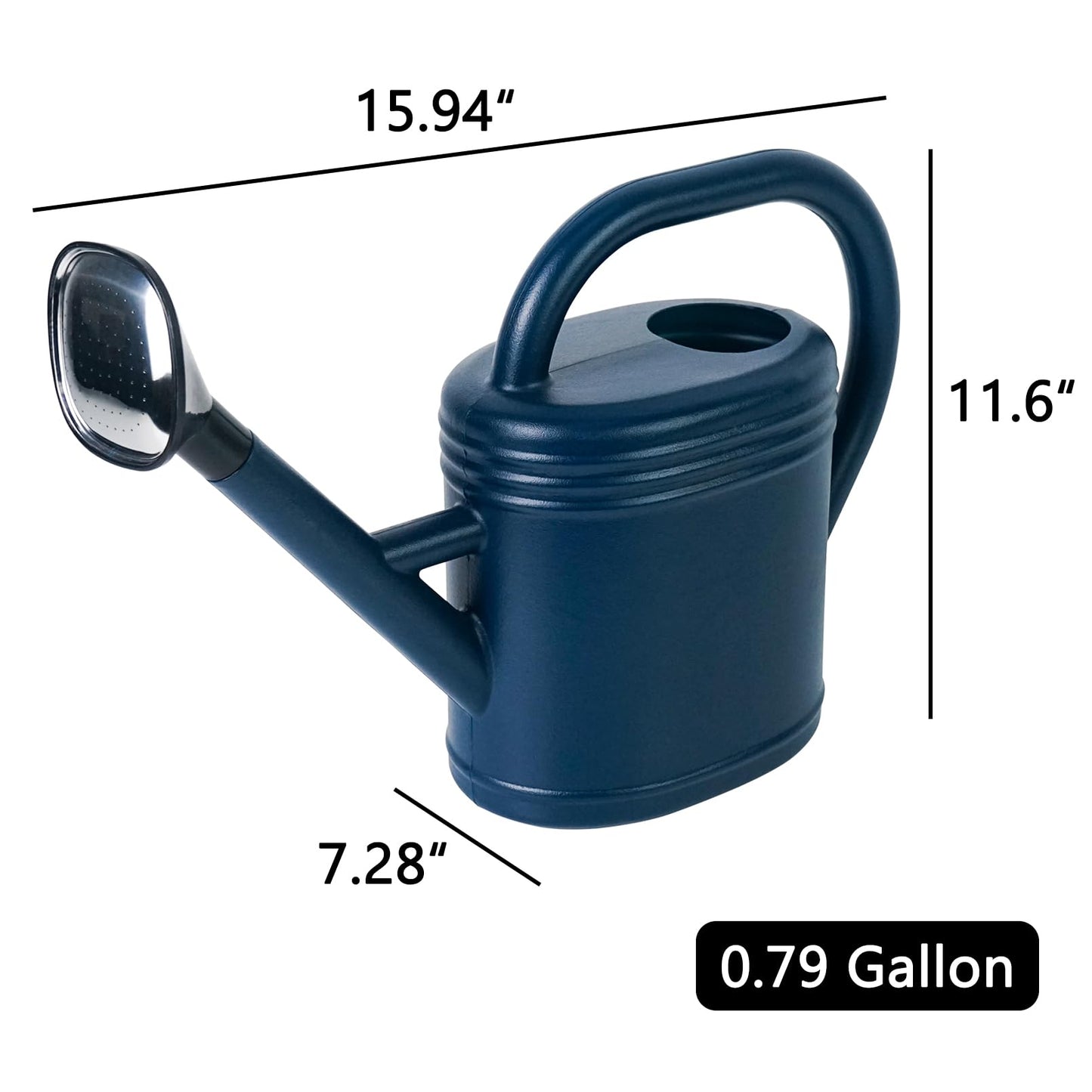 Luwint Watering Can Plants, Plastic Watering Pot with Long Spout & Detachable Shower Head 0.8 Gallon / 3 L for Indoor Outdoor Plants Flower Garden (Blue)