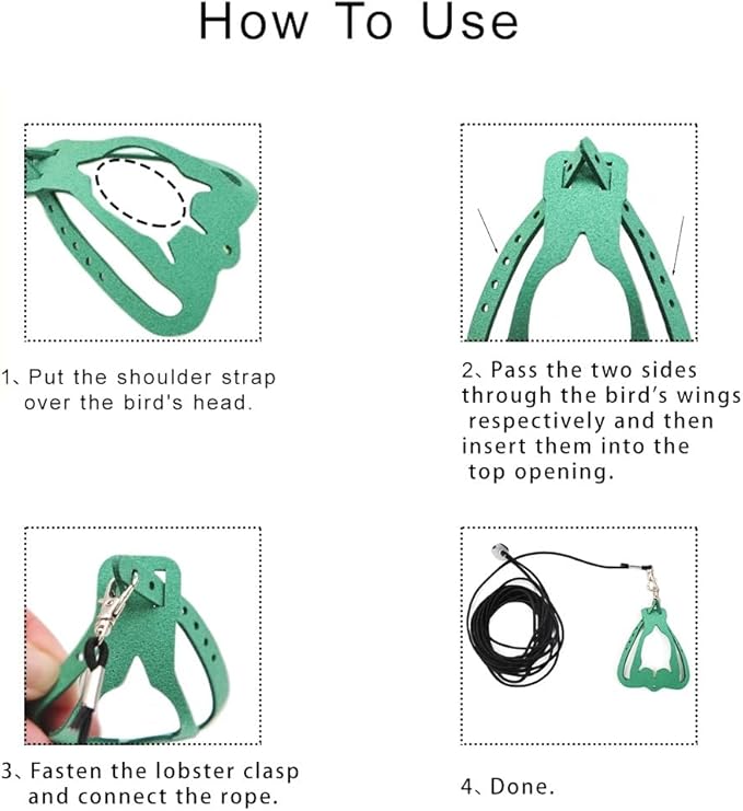 Adjustable Bird Harness & Leash Set for Small Birds,FitsBudgie,Parakeets, Conures, Cockatiels,Green Cheek,Quaker Parrots(Green, 2XL) Z6350-14