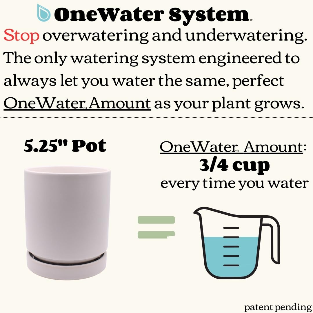Ceramic Plant Pot and Saucer with OneWater System (5.25" Inches, Cylinder White)