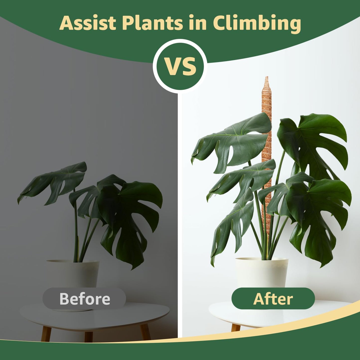 Vanut 2-Pack 28in Bendable & Sturdy Moss Pole for Climbing Plants, Coco Coir Plant Support Stakes for Monstera, Pothos Vines, Philodendron, Fishbone Cactus & Indoor Tropical Houseplants