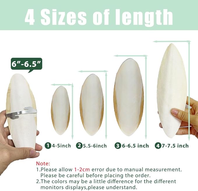 Natural Cuttlebone for Birds Parakeets Canaries Cockatiels Small Conures Mynahs Toucans African Greys All Parrots Snails Totoise, with Holder for Bird Cage (5.5-6 inch,2PCS)