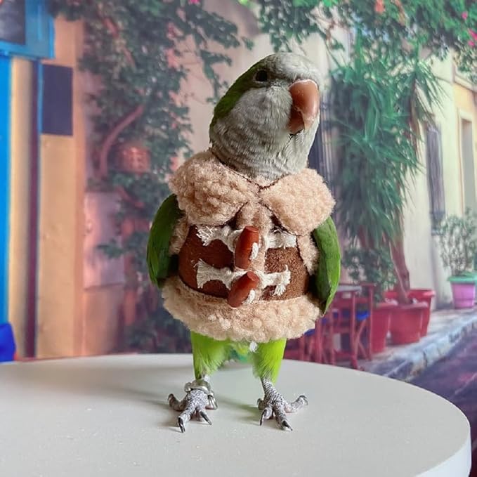 Bird Diaper Flight Suit Parrot Costume pet Animal Costume, Applicable to Birds and Parrots Warm Supplies. (S)