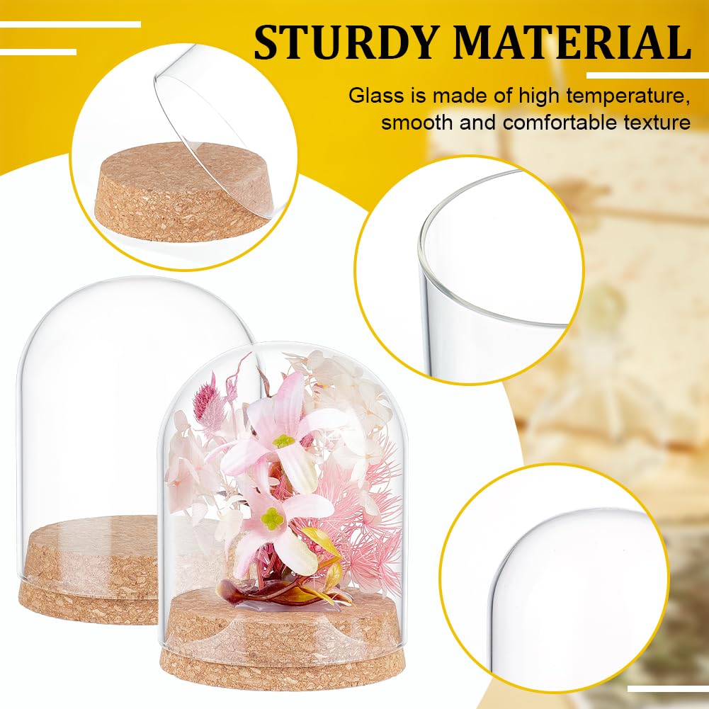 BENECREAT 2Pcs Glass Display Dome Cloche, 4.2x3.2 Inch Bell Jar With Cork Base, Display Case for Flower Specimens Home Decor DIY, Inner Diameter: 3 Inch