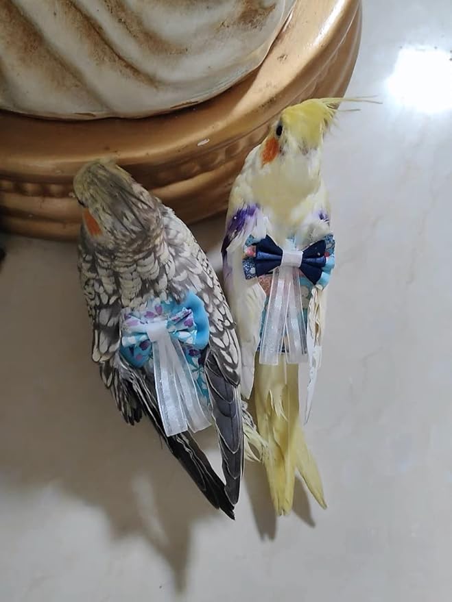 Bird Flight Suits Diapers, Parrot Flight Suits Diapers for Monk Parakeets Cockatiel Conure Lovebird Budgie, Parrot Clothes, Bird Training Nappy Suit Liners Clothes (Medium,Blue-A)