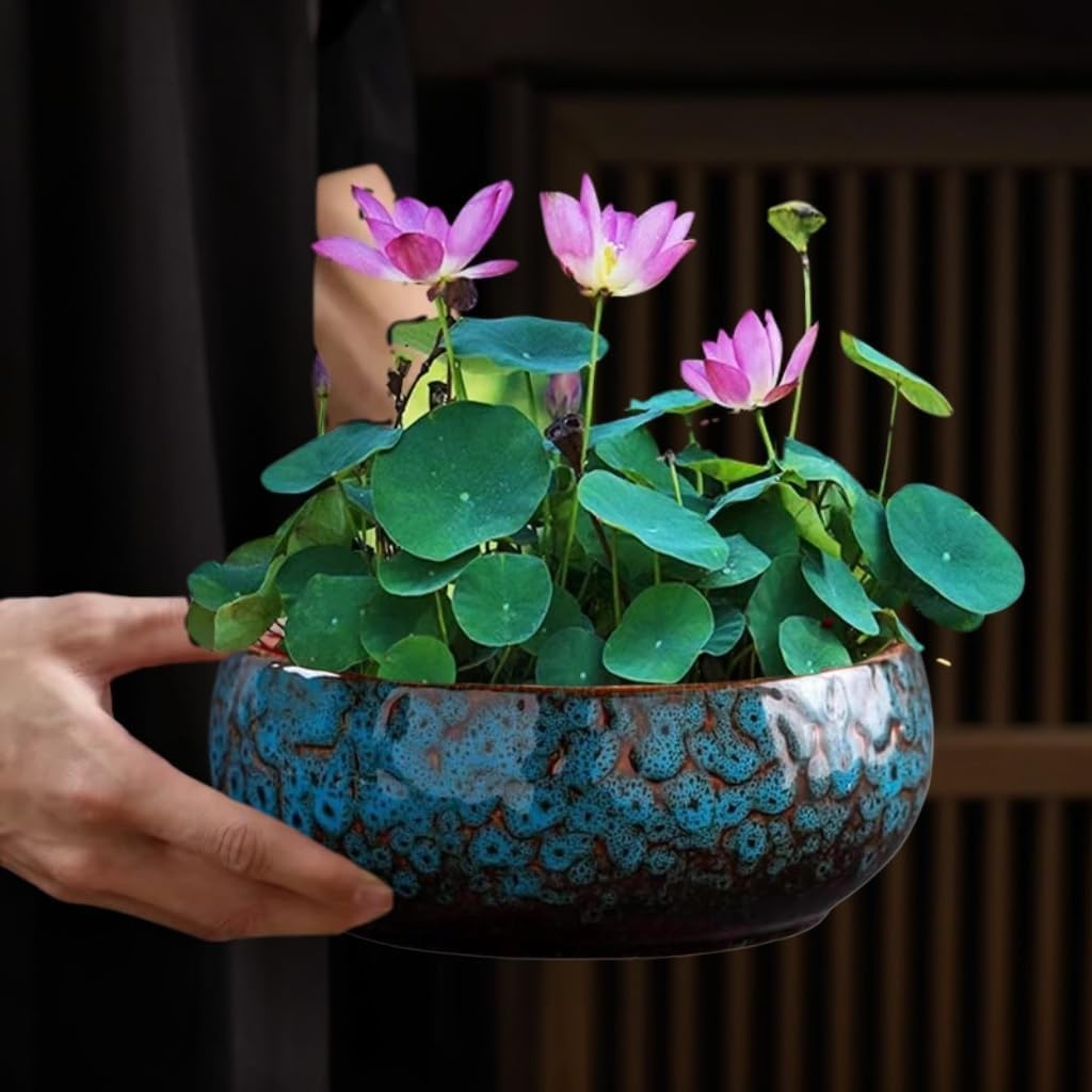 Lotus Bowl Planter for Indoor Water Planting - Hydroponic Container with Lotus Flower Design, Perfect for Growing Lotus Seeds in Water, Decorative Aquatic Plant Bowl for Home, Patio, Zen Garden Decor