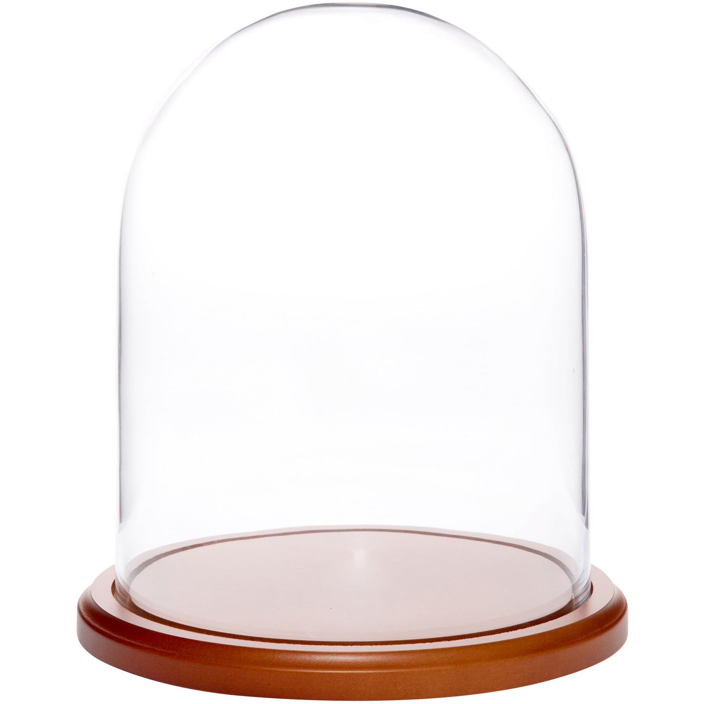 Plymor 8" x 10.25" Glass Display Dome Cloche (Walnut MDF Base)