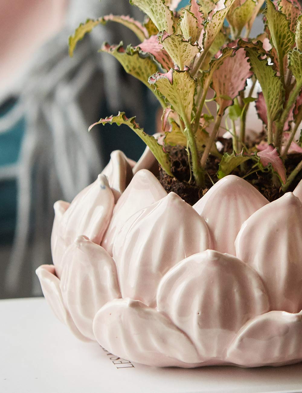 SEINHIJO Indoor Planter Ceramic Succulent Cactus Pot Flower Gift Modern Decor Art for Living Room Office Home Pink 7.1inch