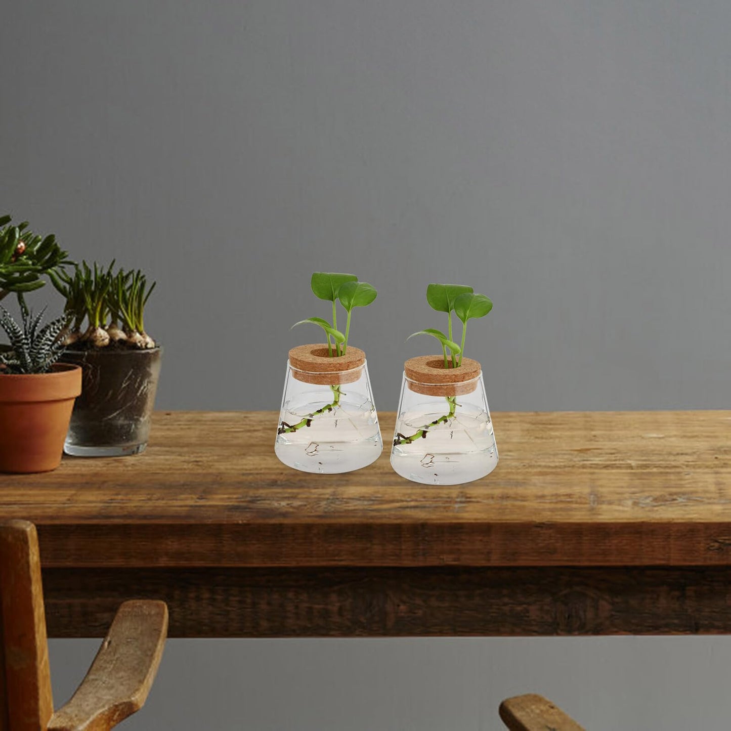 FUOYLOO Desktop Glass Vases for Hydroponics Plants, Stylish Terrarium Planter Wood Lid for Indoor and Hospitality Decor