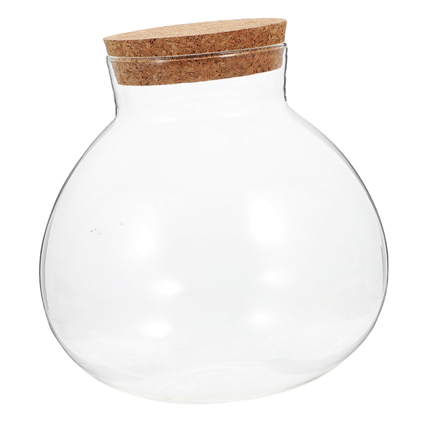 HYTROVE Terrarium Plant Decor Holder Glass Jar Moss Plant Bottle Micro Landscape Planter Bottle DIY Cork Glass Eco for Home Decor
