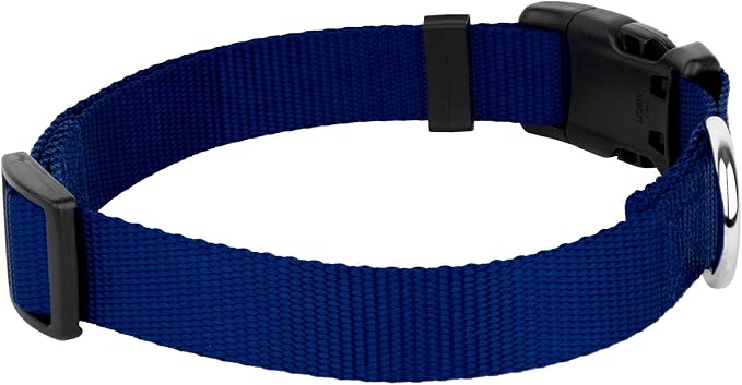 Country Brook Petz - Everyday Nylon Dog Collar and Leash - 10+ Cool Colors (3/4 Inch, Small, Royal Blue)