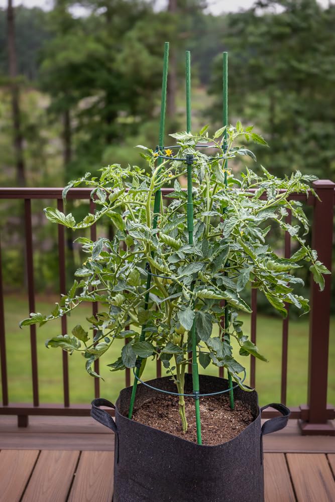 Gardzen 3-Pack Tomato Cage, Plants Support, Trellis Climbing Ring Cage, Stand for Pepper Eggplant Tomato Flowers