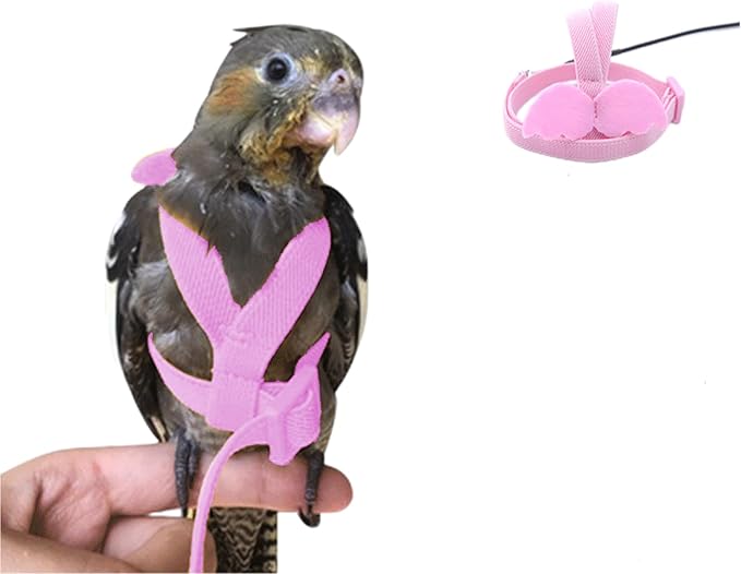 Bird Harness Parrot Leash -Adjustable Outdoor Flying Kit for Parrot Budgie Lovebird Cockatiel Macaw Parakeet (Pink,L)