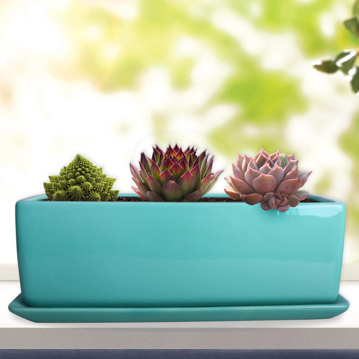 Vencer 12 Inch Rectangular Modern Minimalist Ceramic Succulent Planter Pot - Window Box with Saucer,Office Desktop Potted Stand,Turquoise,VF-0135T