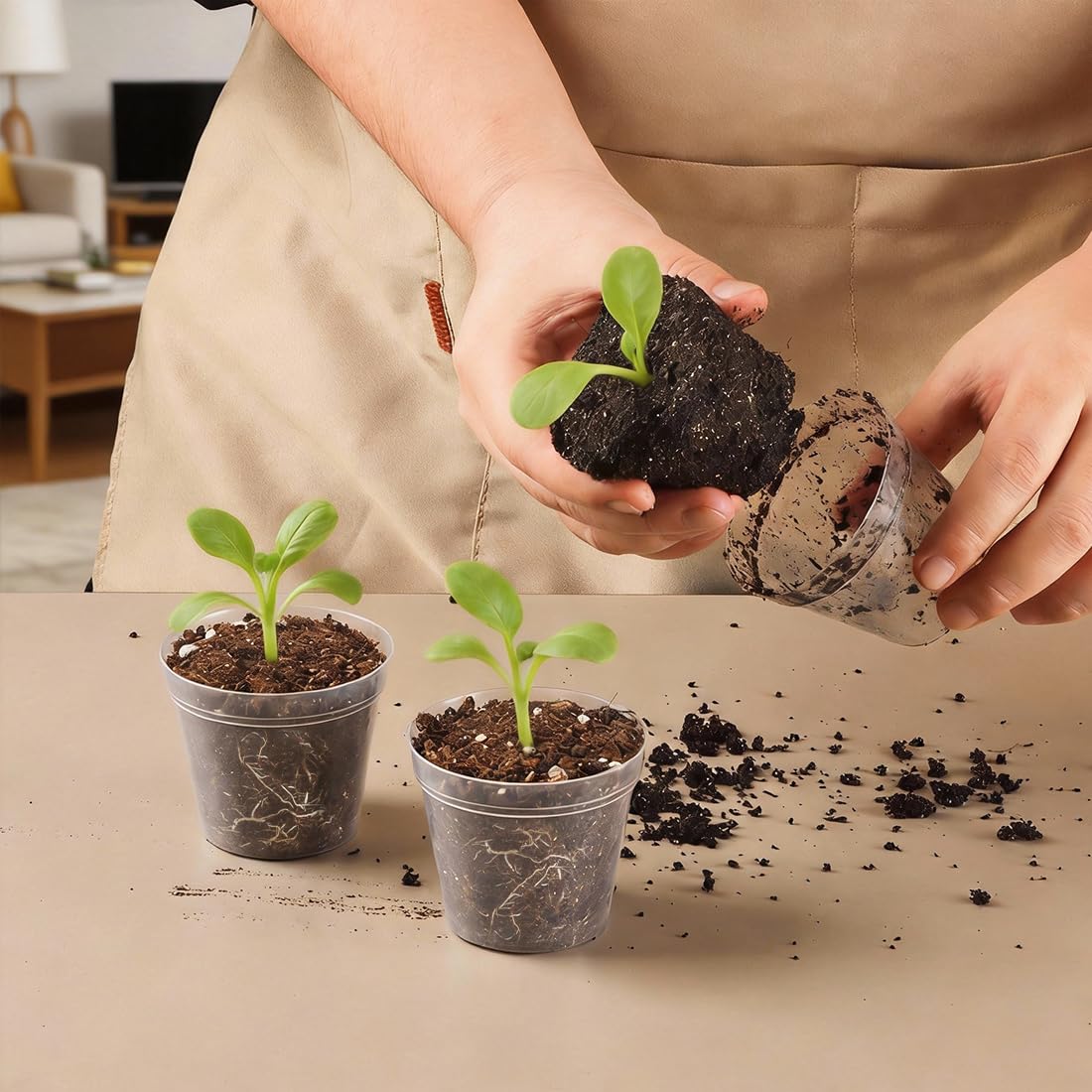 BTPLASTIK 200 Pack 2.5 Inch Clear Nursery Pots with Drainage Hole, Transparent Seed Starter Pots, Sturdy Plastic Plant Pot for Planting Seedlings Vegetables Herbs, Gardening Gifts