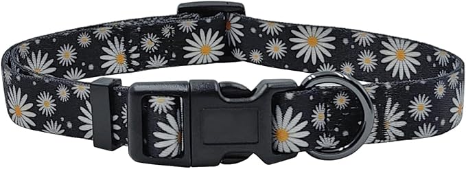 Dog Collar Leash Set, Floral Pattern, Polyester Material, Adjustable Collar and 5ft Matching Leash, for Small Dogs.(S, Black Daisy)