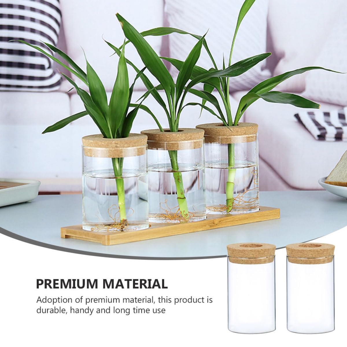 SOLUSTRE 2pcs Glass Flower Vases Hydroponic Plant Pots with Perforated Cork Stoppers 6.5cm X 10cm Indoor Home Decor Moss Terrarium Bottles for Succulent Arrangement