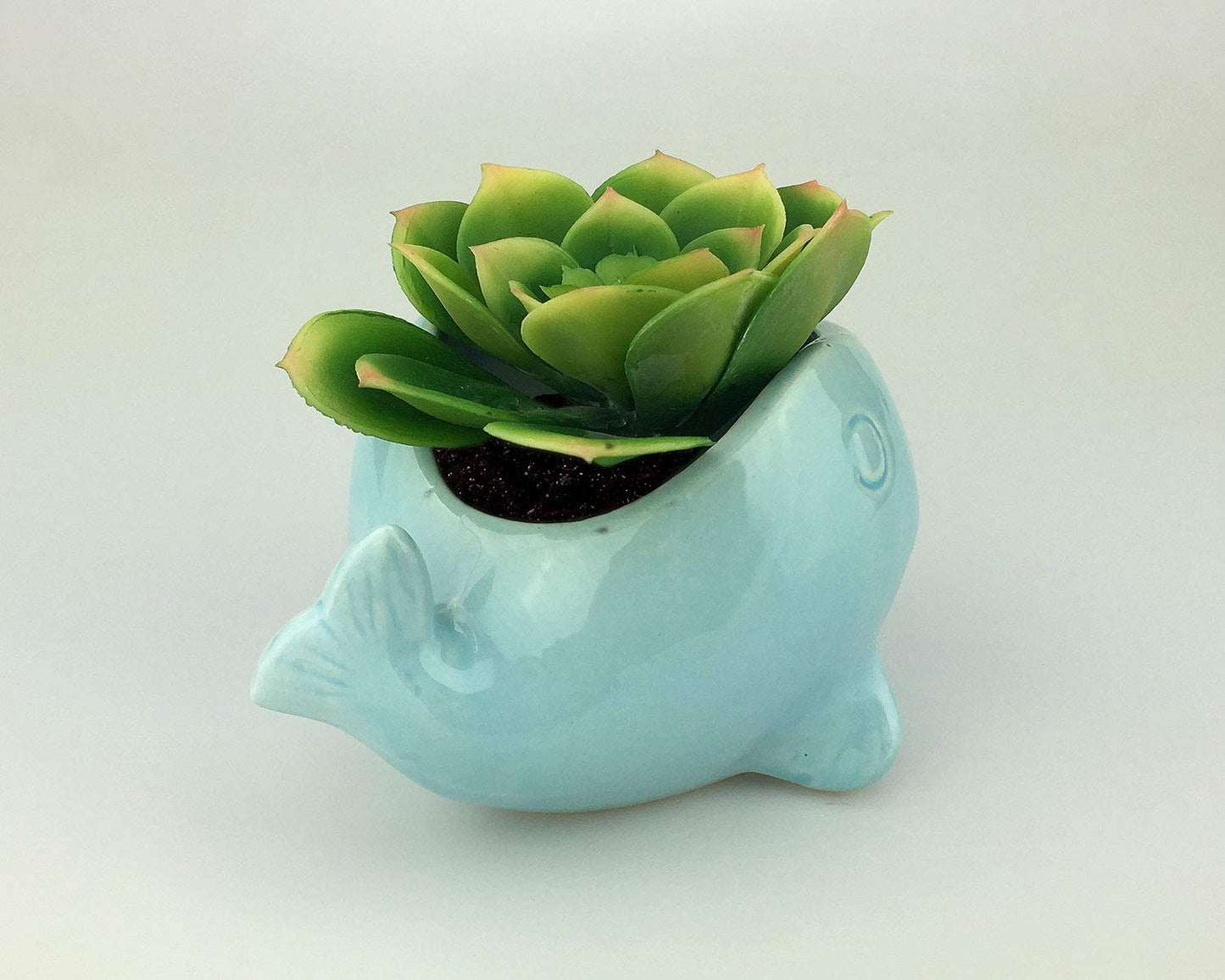 VanEnjoy 5" Ocean Blue Whale Ceramic Succulent Pot, Medium (3.86 x 4.64 x 2.87 inches), Indoor Use