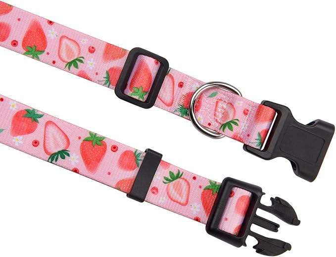 MarukoPet Dog Collar and Leash Set, Adjustable for Small Medium Large Dogs Puppy, Cute Design with Bohemia Floral Tribal Geometric Patterns Boys Girls Dog Collar(Strawberry Set,L)