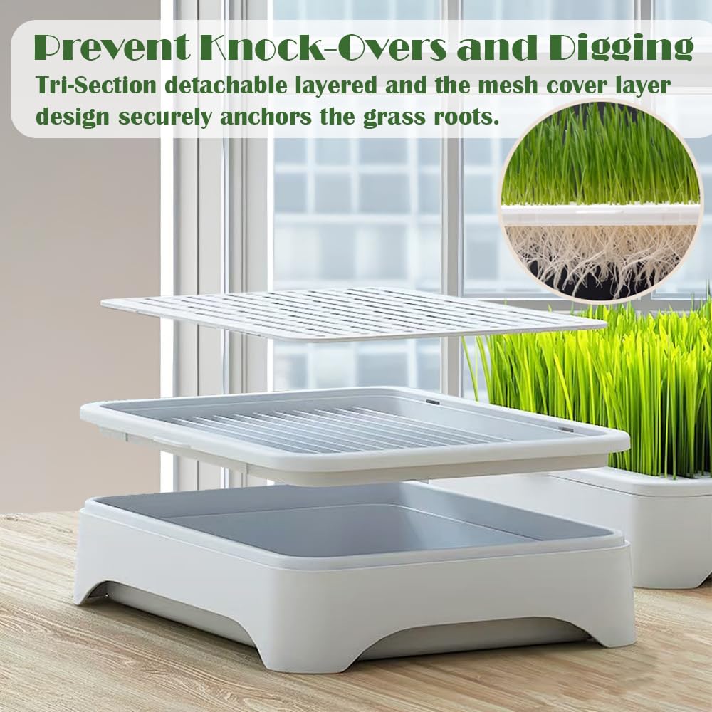 YjiaYjiaY 2-Pack Cat Grass Planter (No Seeds Included), Tri-Section Design, Anti-Pull Out Cat Grass Seed Starter Tray, Sprouts Growing Kit, Microgreens Growing Trays