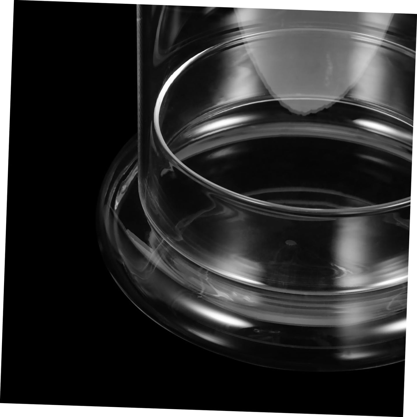 IWOWHERO Micro Landscape Vase Flower Vase Small Glass Terrarium Desktop Glass Terrarium Tabletop Aquarium Tank Micro Landscape Bottle Plant Holder High Borosilicate Glass Transparent