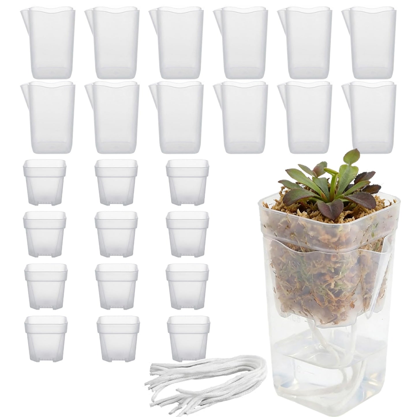 ROJMMFOL 12Pcs Self Watering Pots, 2in Self Watering Pots for Indoor Plants, Mini Clear Plant Pots with Cotton Wick, Double-Layer Design, Perfect for Succulents, Herbs, Green Plants
