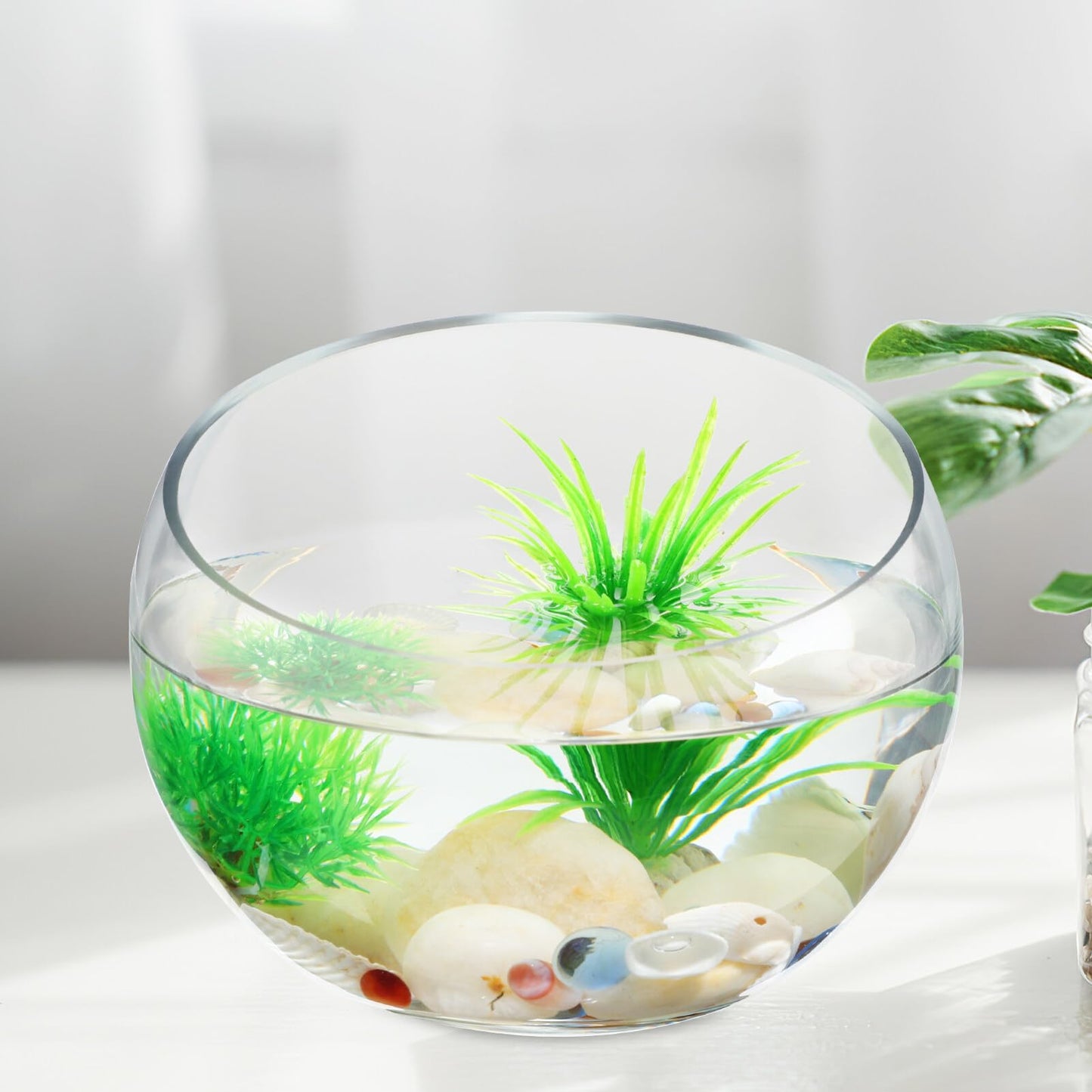 GANAZONO Succulent Planter Pot Set of 2 Half-Round Glass Hydroponic Flower Bowls for Indoor Plants and Home Decoration 5.90X4.33X2.36 Inches