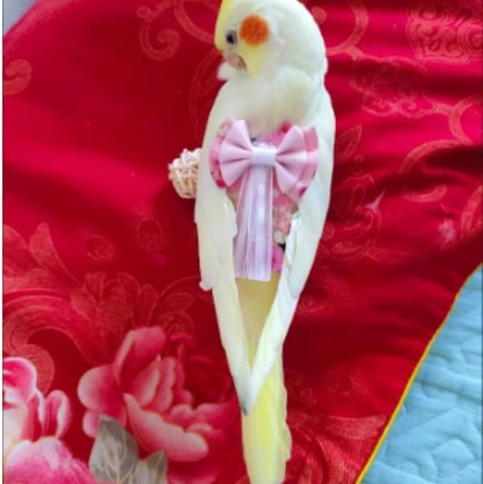 Bird Diaper Cockatiel Clothes Flight Suite, Reusable Parrot Nappy with Waterproof Inner Layer, Cute Pigeon Pants Urine Wet Suit Costume for Conure Macaw (Purple,XS)