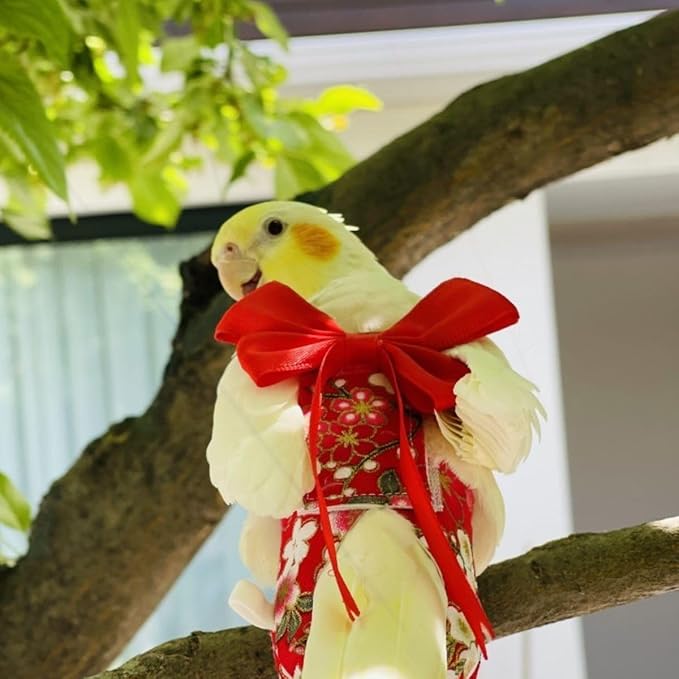 Bird Diaper Parrot Washable Diapers, Parrot Flight Suit, Reusable Nappies for Parakeet Cockatiel Mini Macaw Budgie Conure Lovebird (Red,2XL)