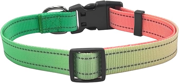 Dog Collar Leash Set, Gradient Color, with Safety Reflective Strips, 5 ft Matching Leash, Neoprene Padded Handle, Adjustable 4 Sizes for Small Medium Large Dogs.(S, Green Orange)