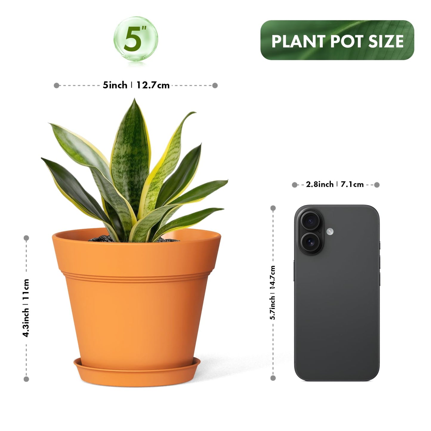 WSMKSZ 5 Inch Plastic Plant Pots with Drainage Holes and Trays – 6 Pack Small Nursery Pots for Indoor & Outdoor House Plants and Flowers, Seedling Starter Planters, Terracotta