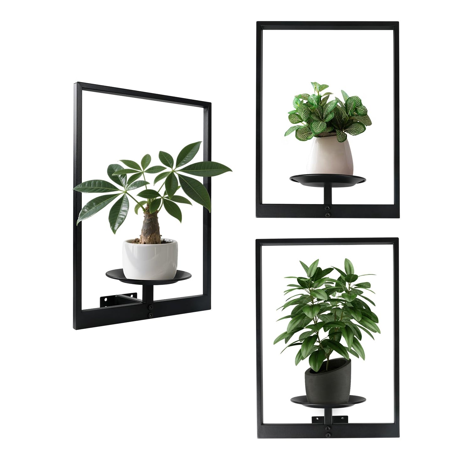SUNLITOPTO Plant Wall Shelf, Metal Modern Style Frame, Picture Wall Plant Holder, Plant Frames for Living Space Decor Display Stand for Living Room Balcony Garden Patio (3 PACK(BLACK ))