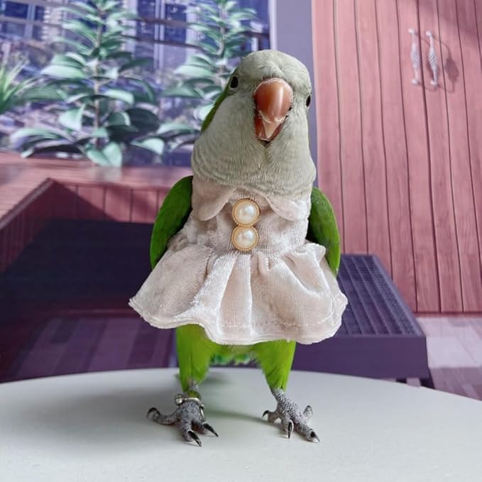 Bird Costume Bird Diaper Flight Suit Parrot Velvet Fleece Skirt Clothes Cosplay Photo Prop for Conure Lovebird Parakeet Cockatiel Macaw Small Animals Apparel (White,XX-Large)
