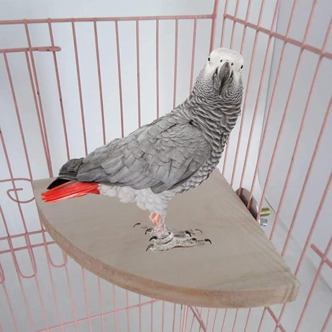 Litewoo Bird Parrot Corner Perch Flat Platform Stand, Easy to Install, Safe and Stable, Smooth Polishing Without Hurting Feet, Solid Hardwood Bird Cage Perches（L）