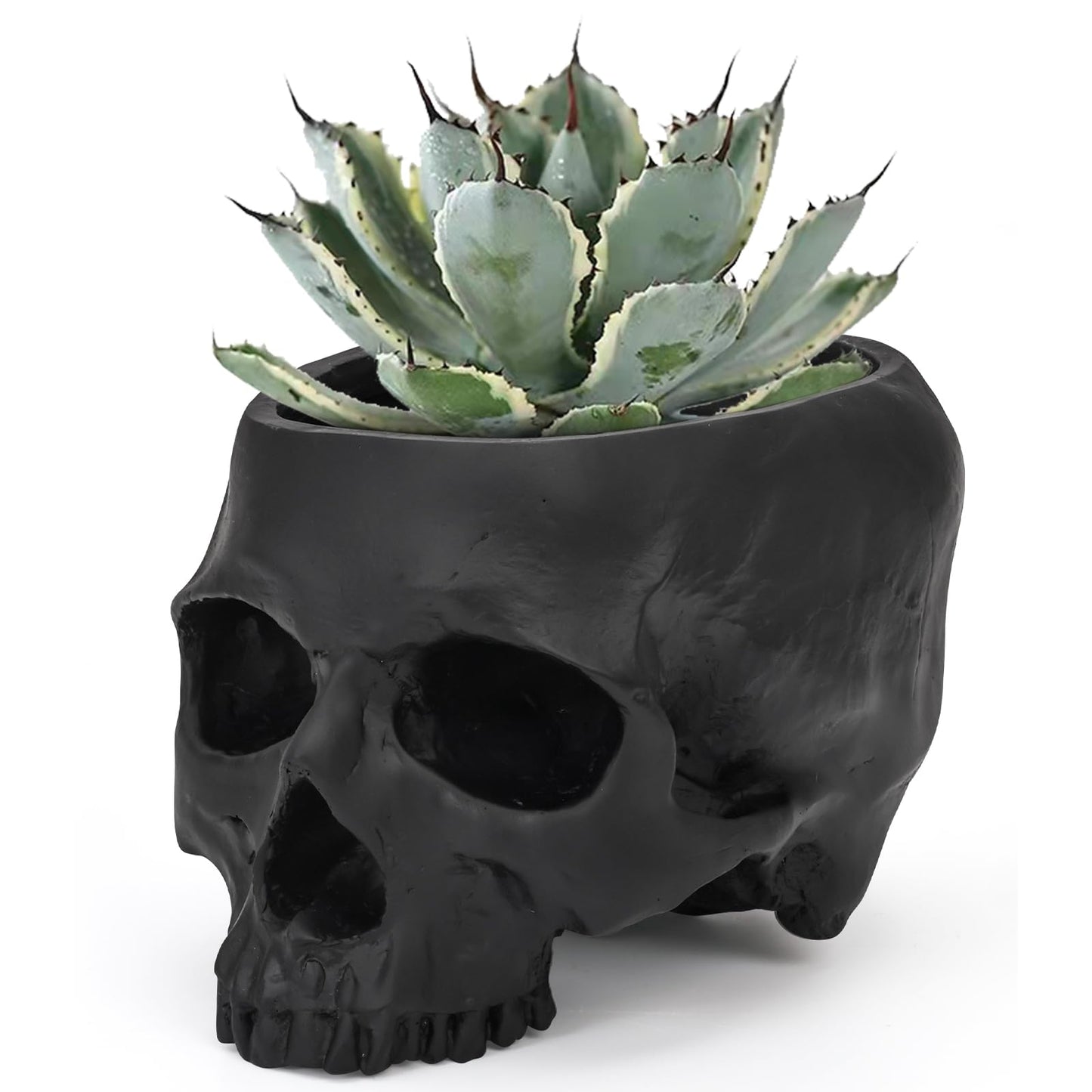 Sinromrich Skull Planter Pot for Plants - Realistic Human Skull Head Flower Pot, Halloween/Gothic Décor, Resin Planter for Succulents, Bonsai, Cactus, Home Bar, Desk, Spooky Gift Idea (Black)