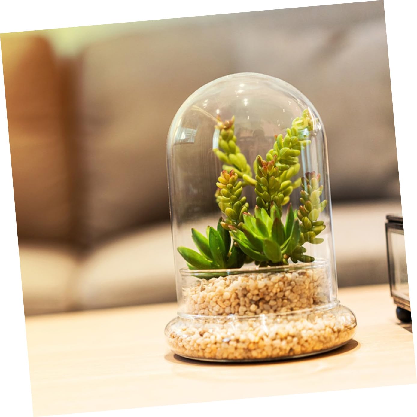 IMIKEYA Glass Moss Bottle for Terrarium Propagation Planters Plant Accessories Indoor Decor Fairy Garden Kit